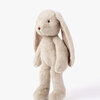 Rabbit45-4365-1115_2.jpg