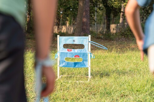 BS Toys Scheiben- und Leitersteigspiel Outdoor-Spiel
