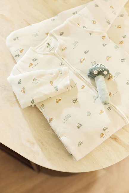 Jollein Schlafsack mit abnehmbaren Ärmeln 90 cm, On the Go