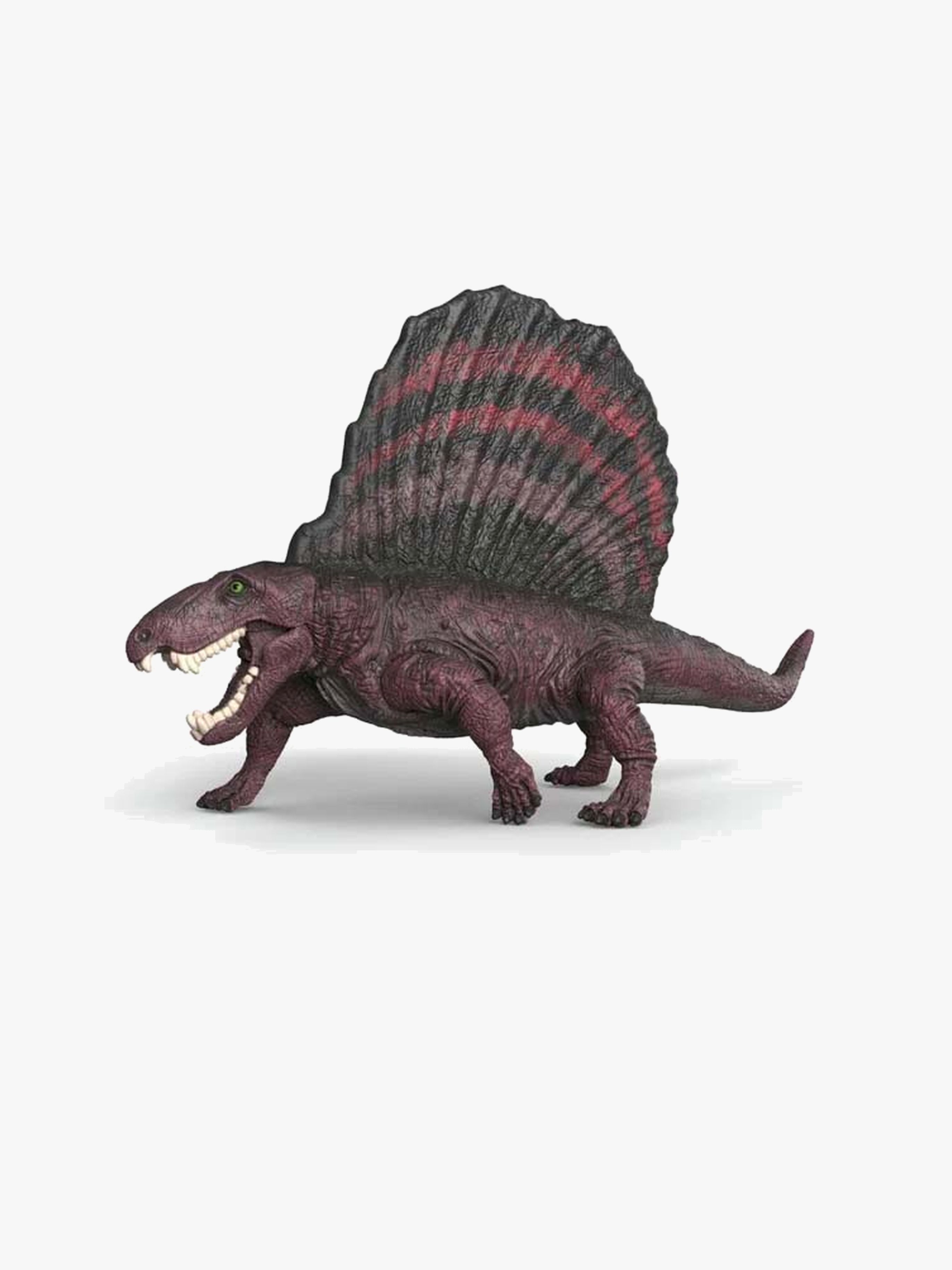 Dimetrodon