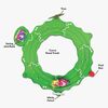 8524-1791_3c.jpg