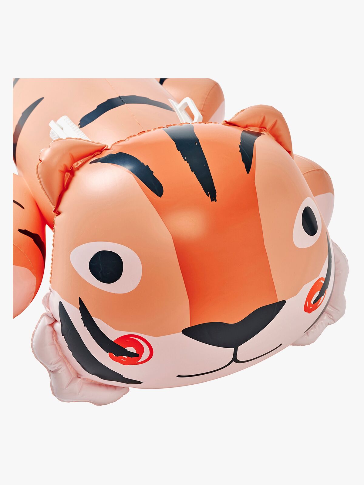 S61KRFTC-TinotheTiger-4623_4d.jpg