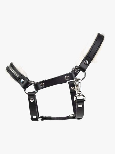 My Hobby Horse Lederhalfter, Schwarz