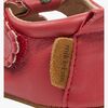 20019-Canyon Rose-4548_3e.jpg