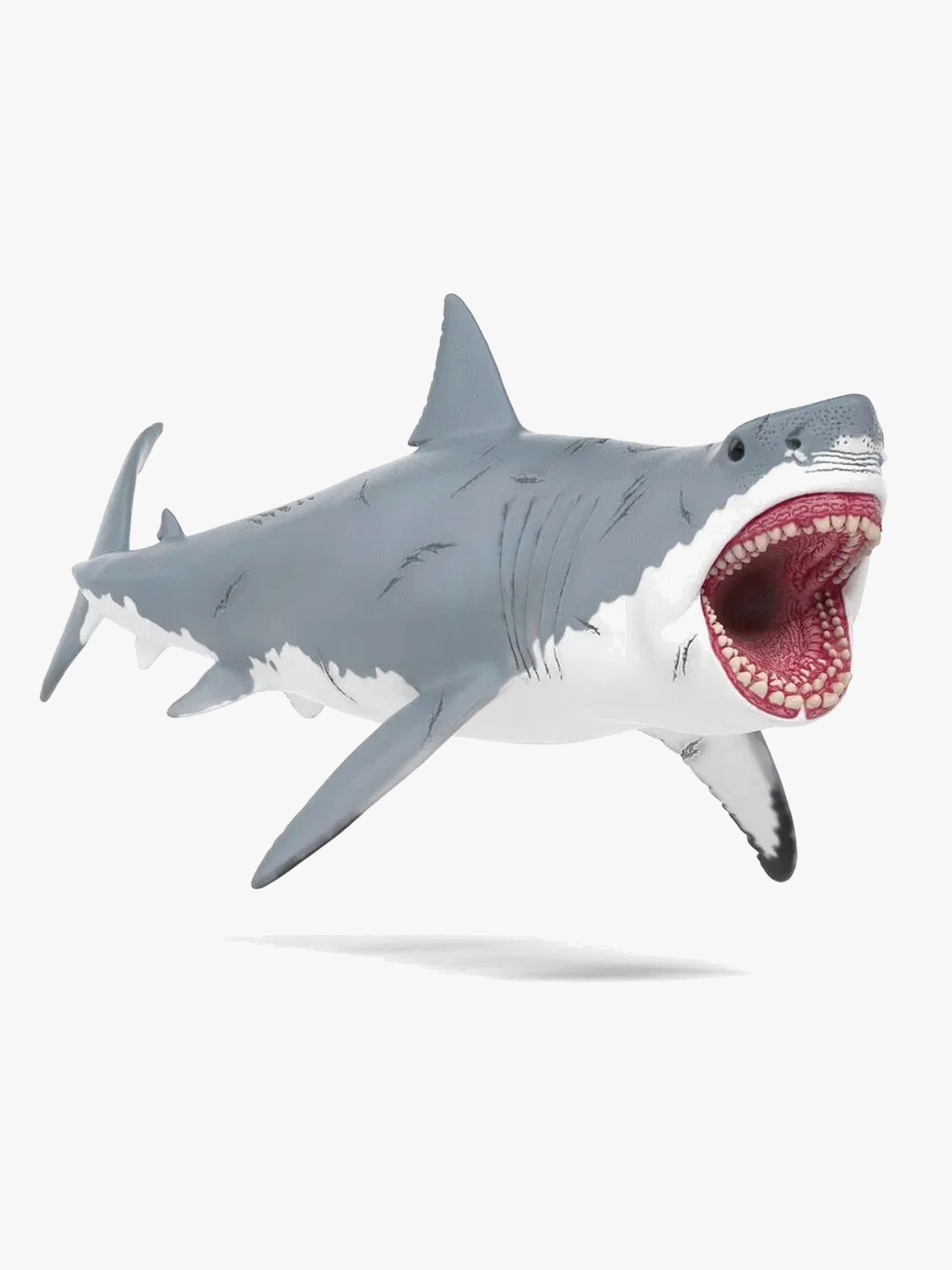 15055 Megalodon
