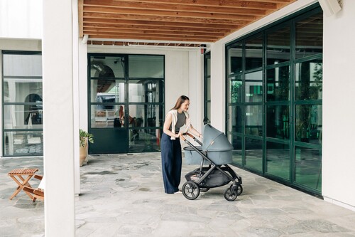 UPPAbaby Vista V3 Kombikinderwagen, Dillan