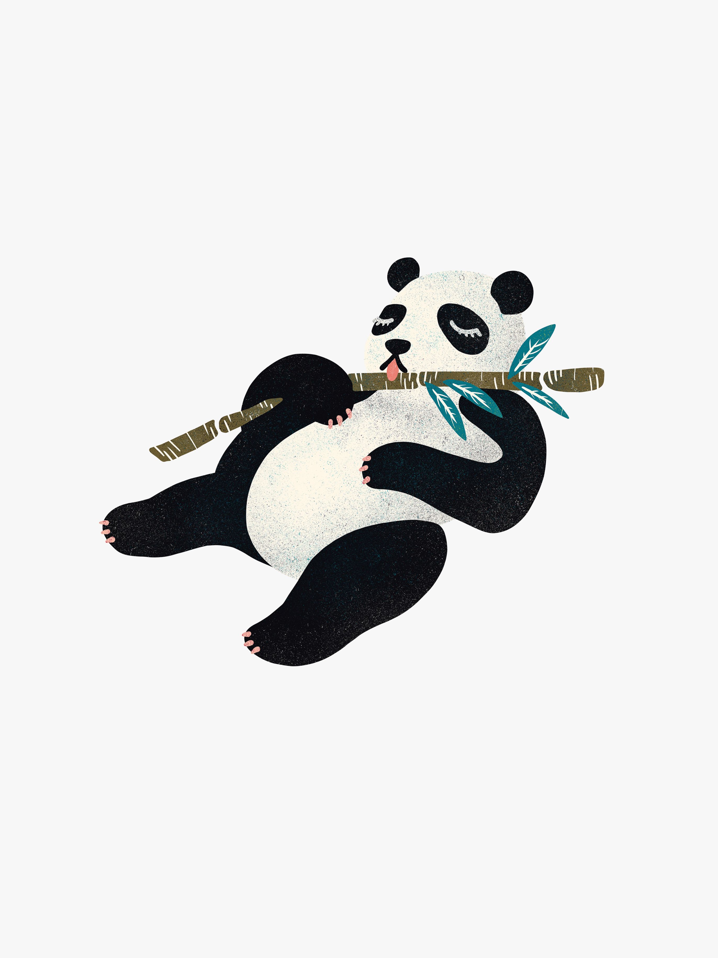 Wallstickers Panda