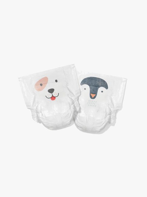 KKS6NAPPIESDP-1228_1.jpg