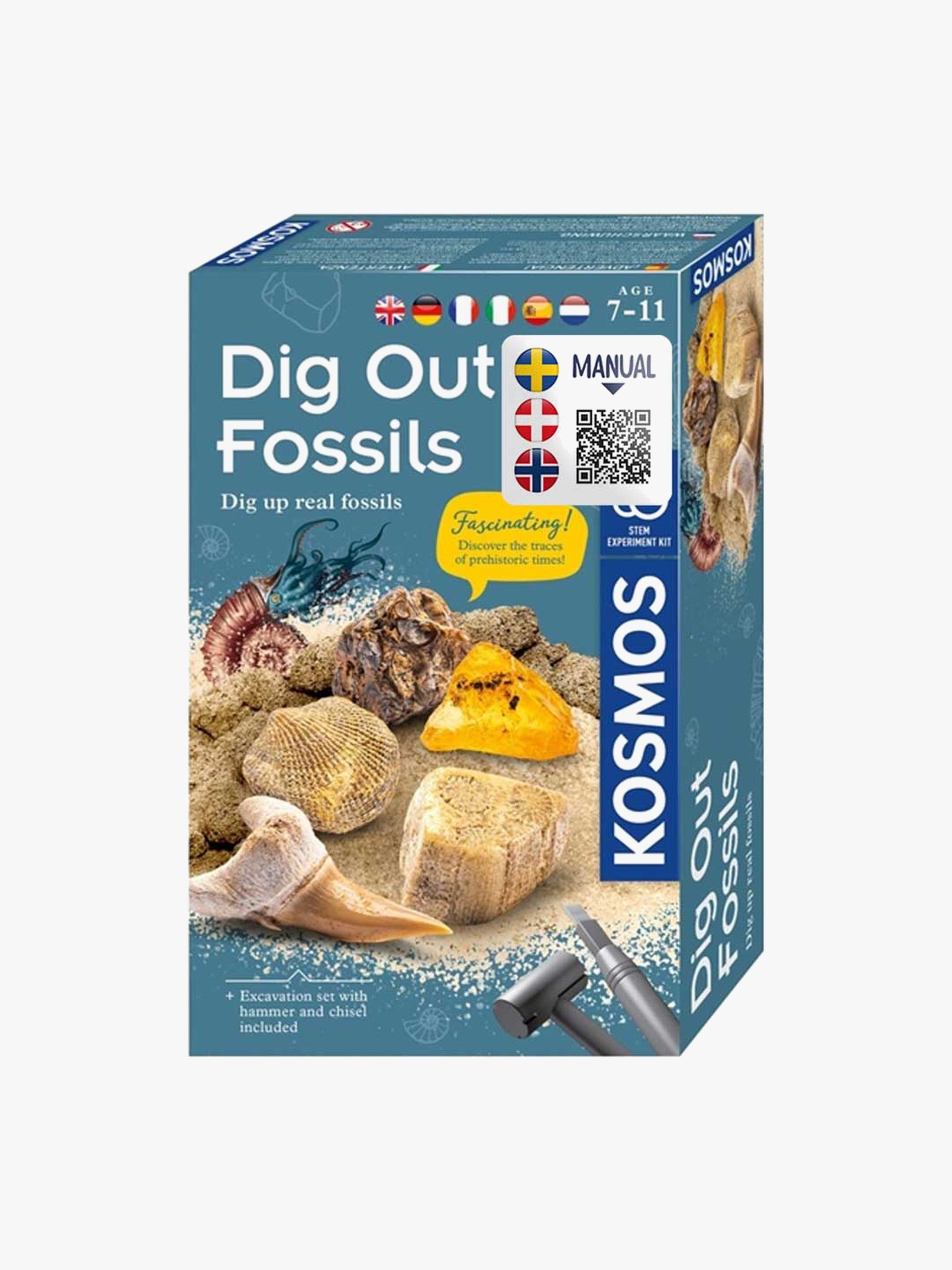 Ausgrabungsset Fossilien
