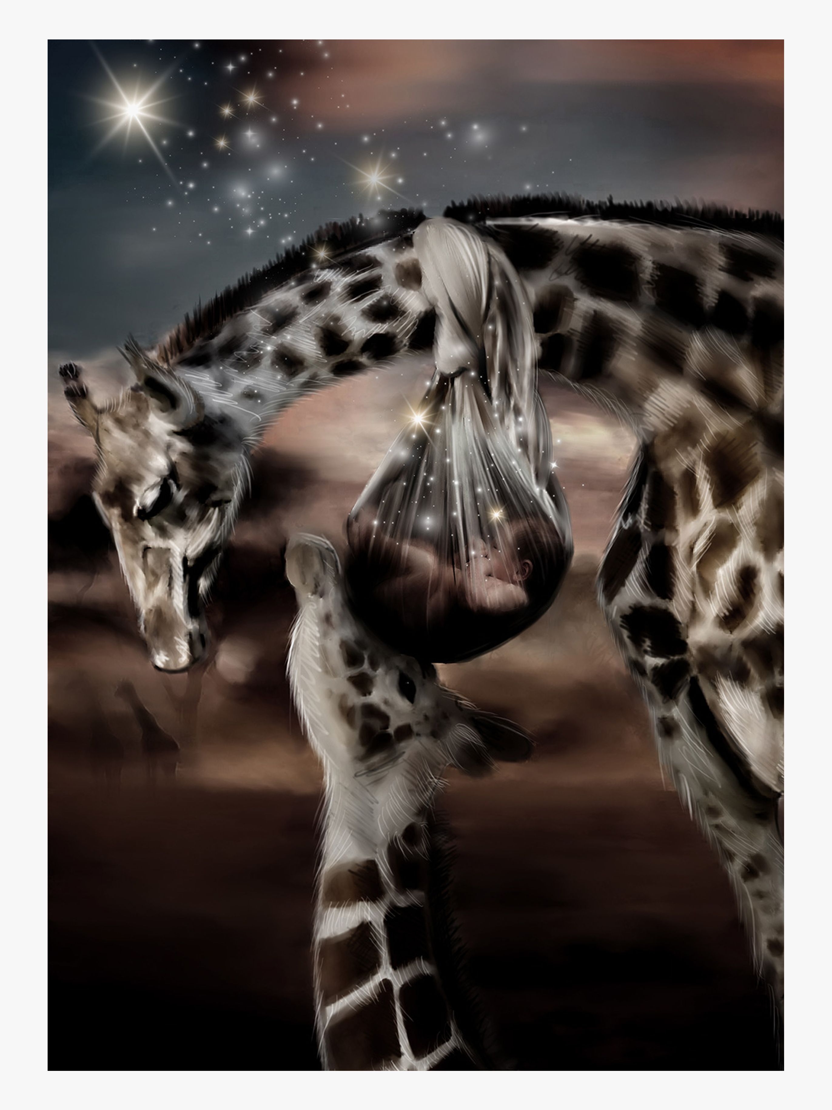 Poster 30x40 Kleiner Hoffnungsvoller