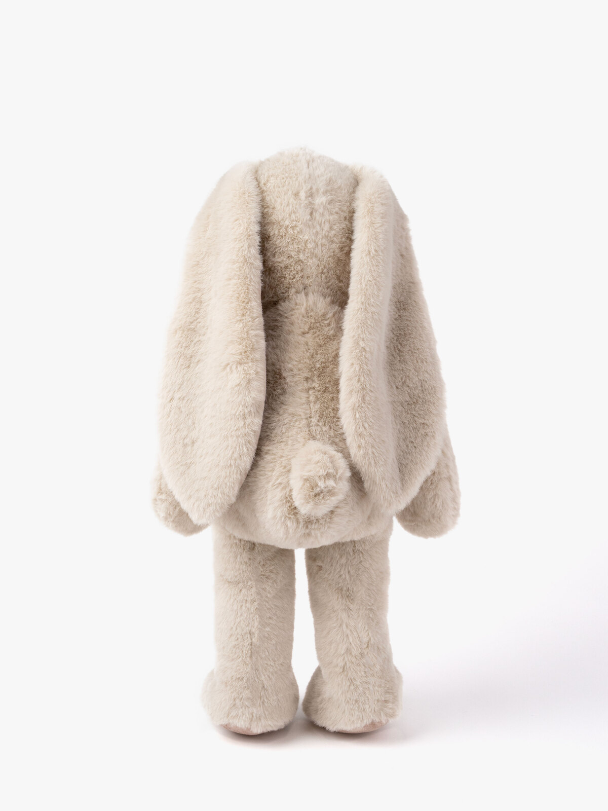 Rabbit45-4365-1115_3a.jpg