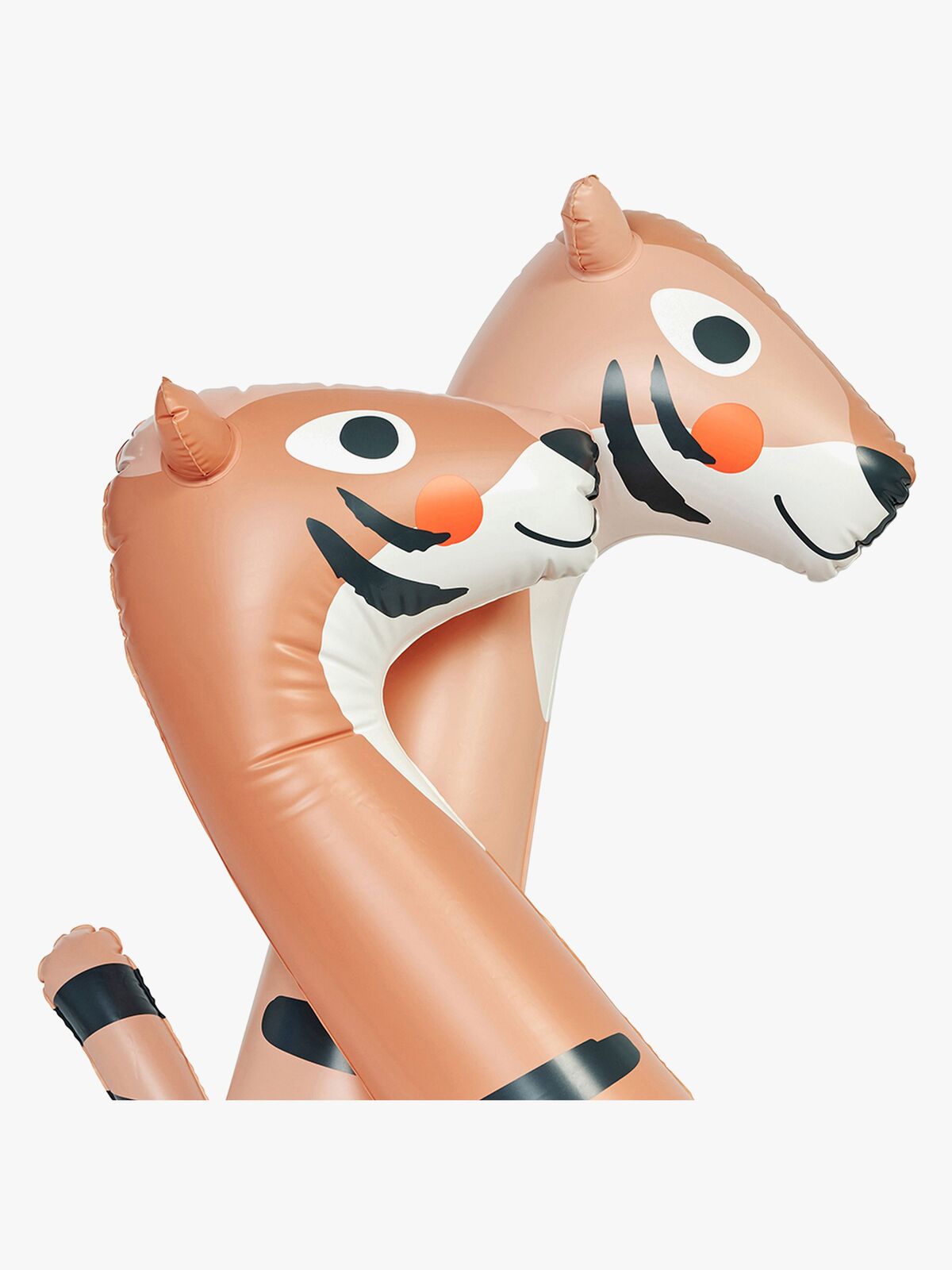 S61KINTC-TinotheTiger-4623_4d.jpg