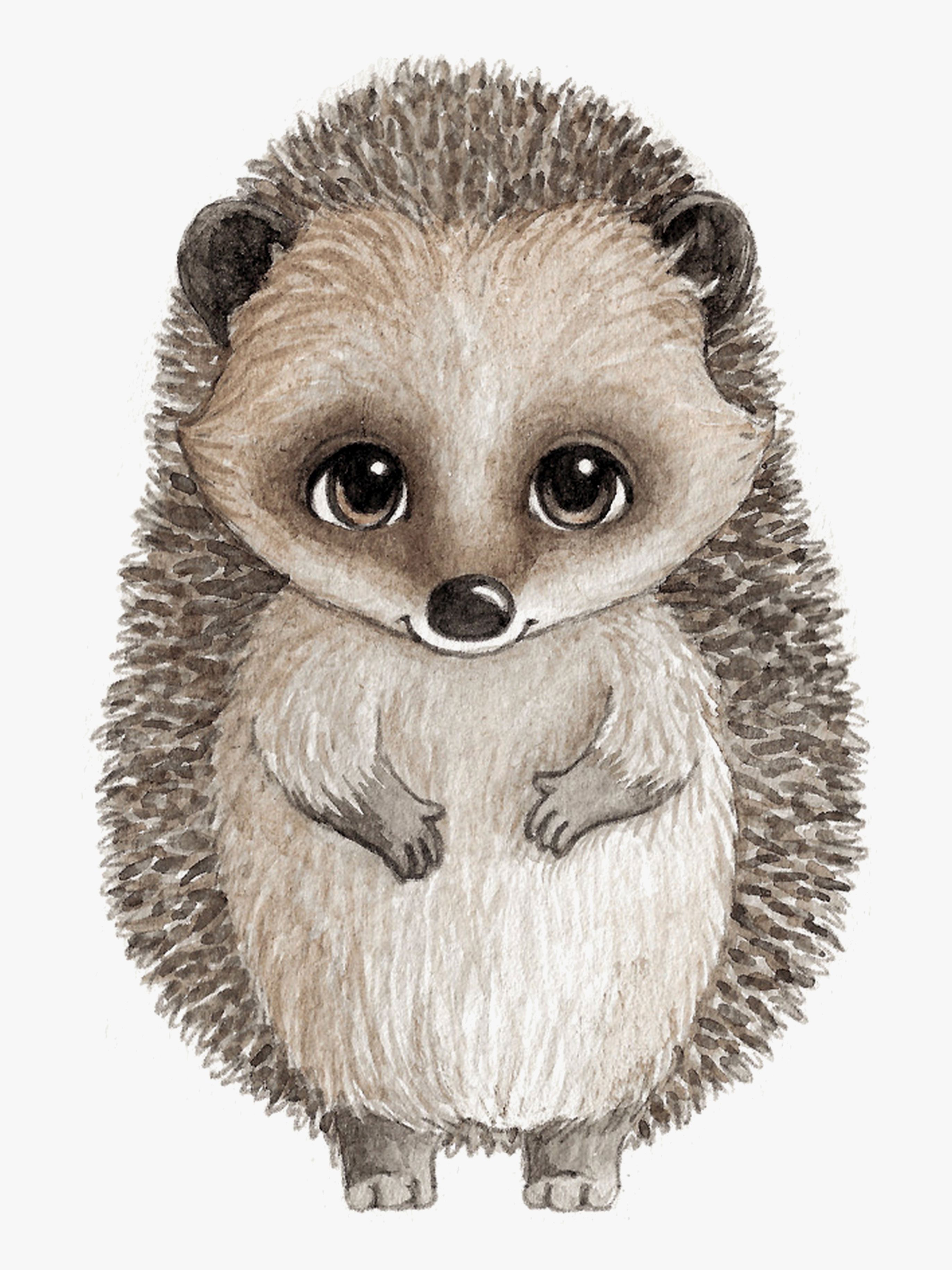 Stickstay Harry The Hedgehog Wandsticker