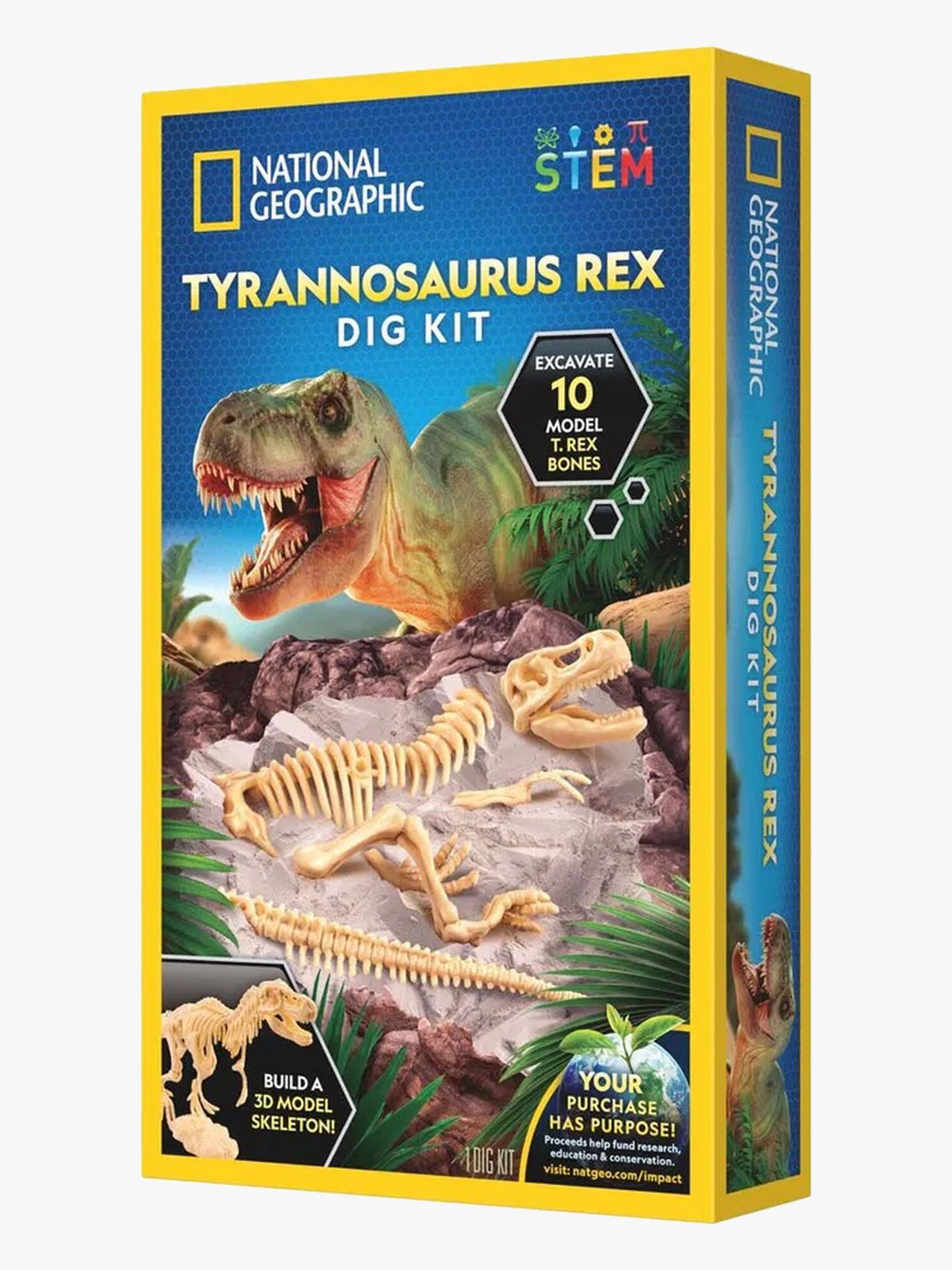 Ausgrabungsset Tyrannosaurus Rex