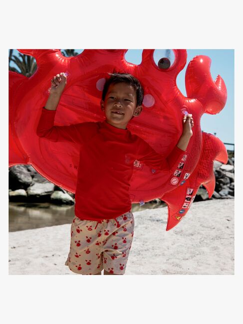 2024SE1048-Crab-4663_4b.jpg