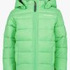 Didriksons Rodi Steppjacke, Spring Green