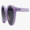 Classic-PURPLE-4610_3b.jpg