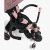 T10Z-pink-1895_3h.jpg