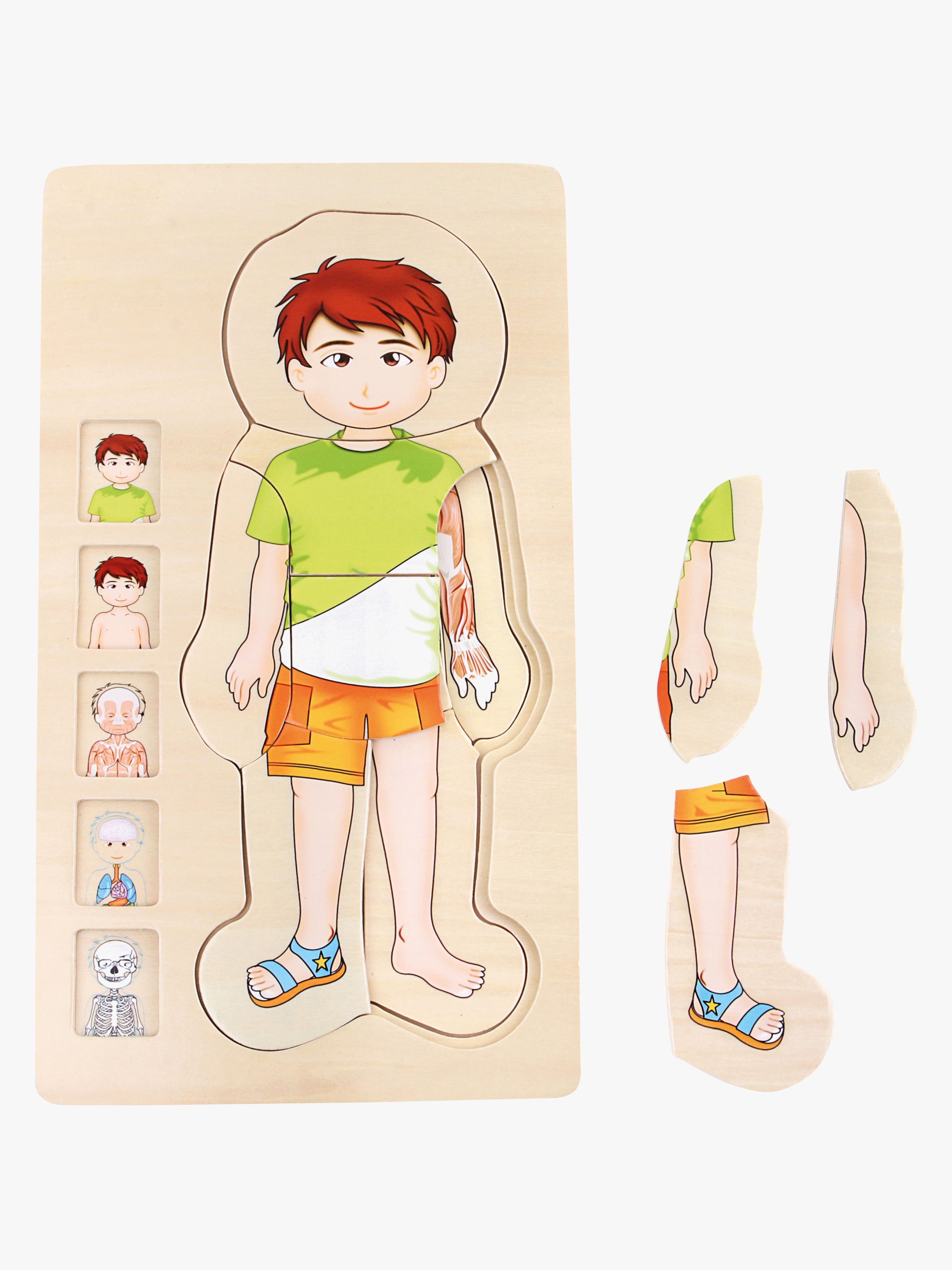 Puzzle Anatomie, Grün