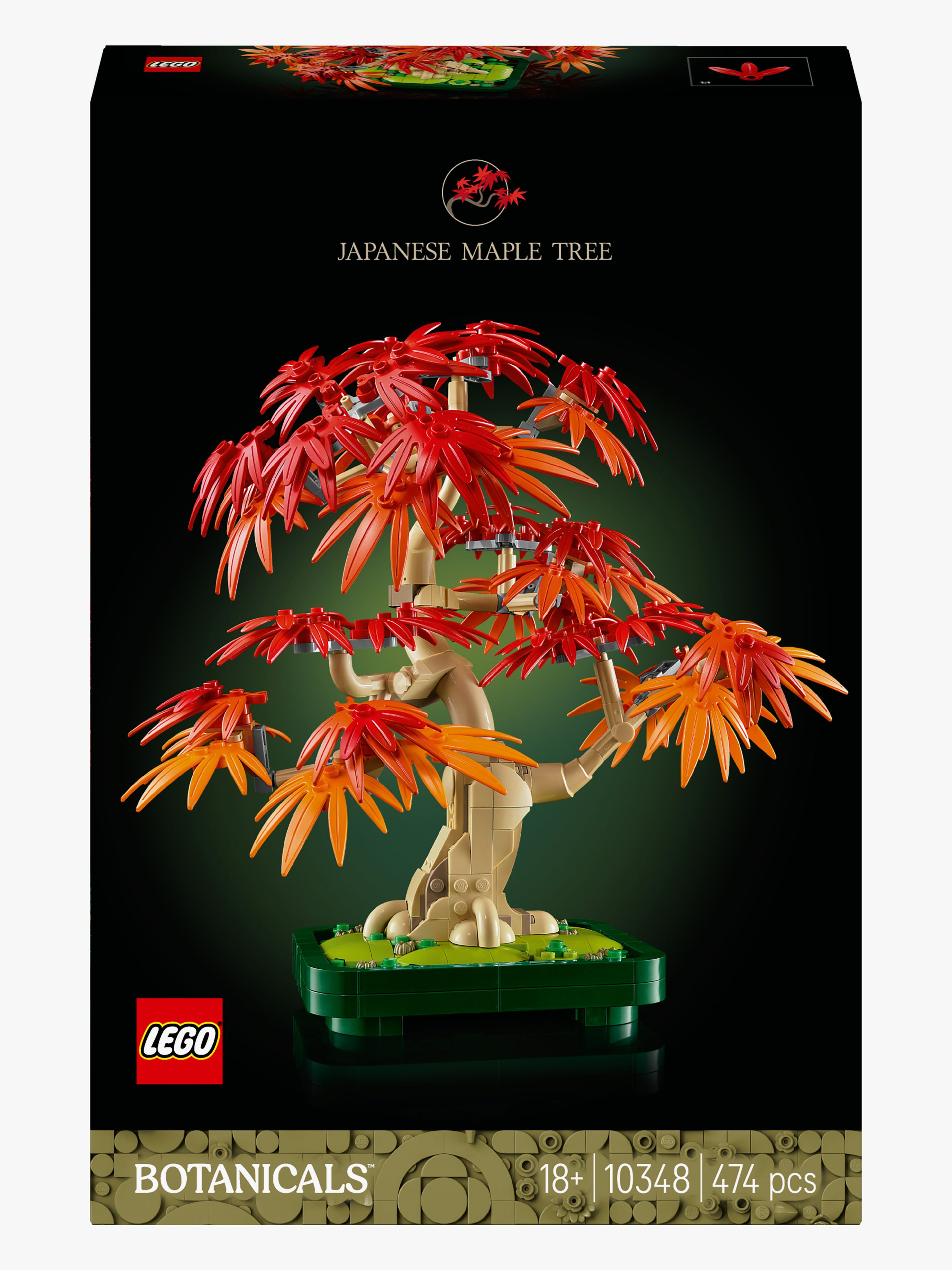 Botanicals 10348 Japanischer Roter Ahorn – Bonsai-Baum