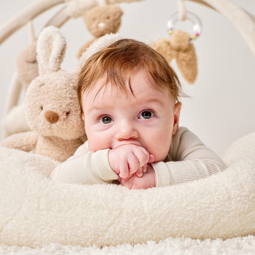 Nattou Teddy Spielbogen, Ecru