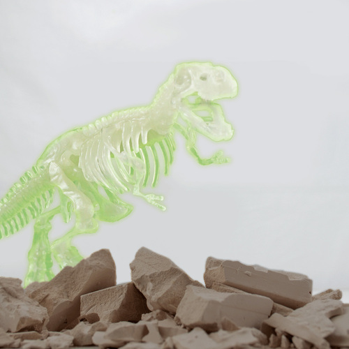 Toyrock Steam Fossilien-Set T-rex Glow In The Dark