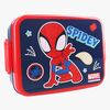 Spidey And His Amazing Friends Brotdose, Lunch Bunch