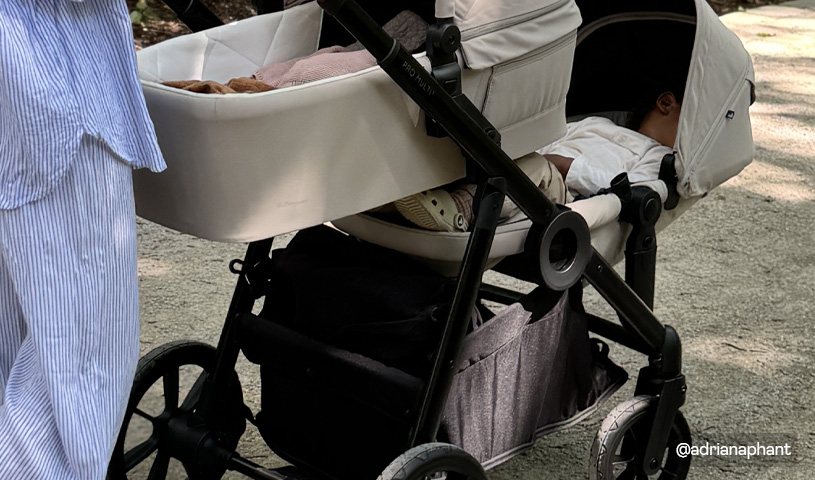 Detailbild Geschwisterwagen, draußen beim Spaziergang