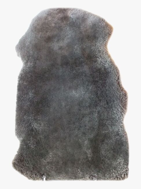 20-2000-4-1123_1.jpg