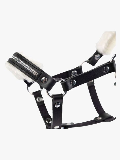 My Hobby Horse Lederhalfter, Schwarz