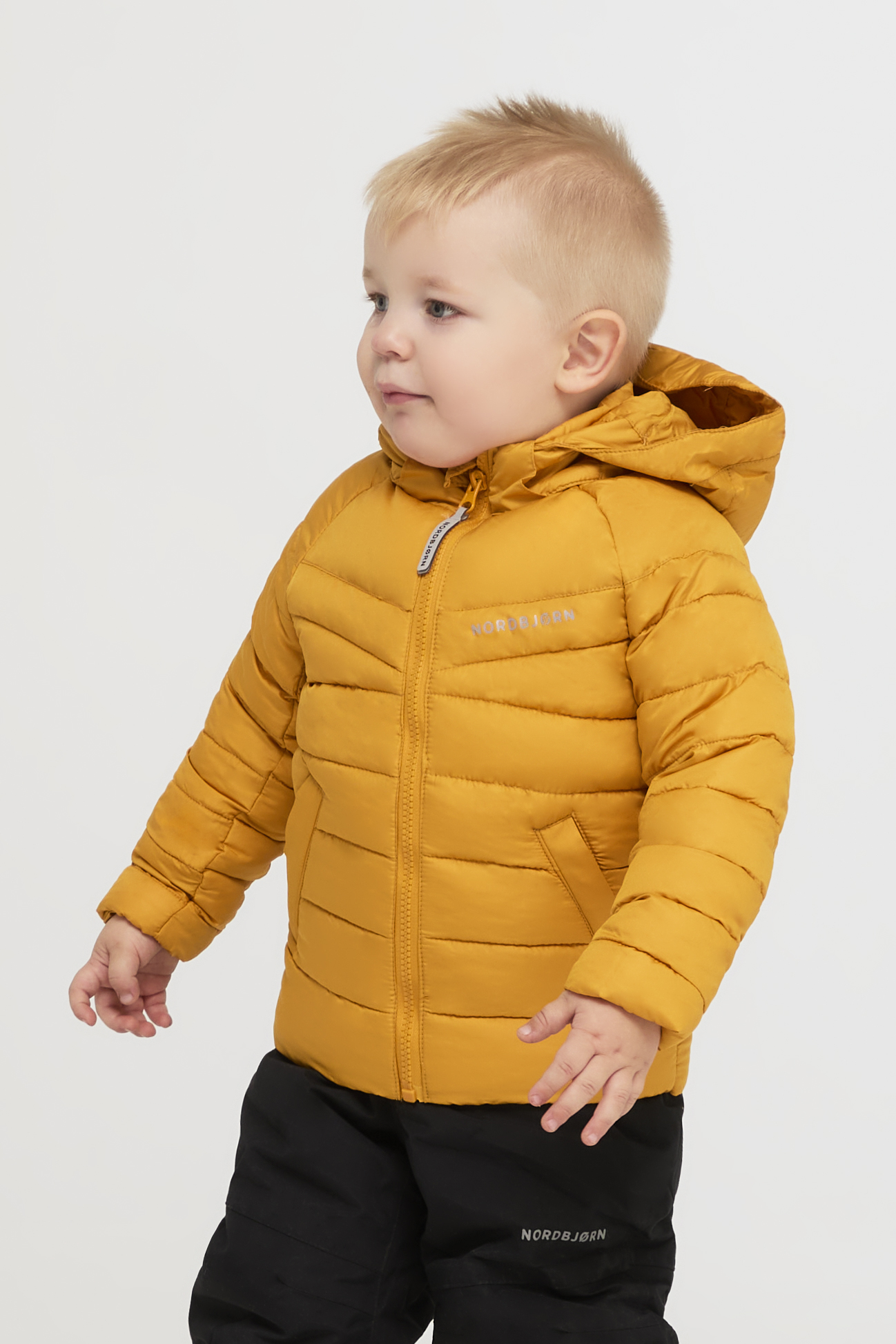 Nordbjørn Cortina Steppjacke, Sunflower, 92