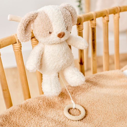 Nattou Teddy Spieluhr Hund