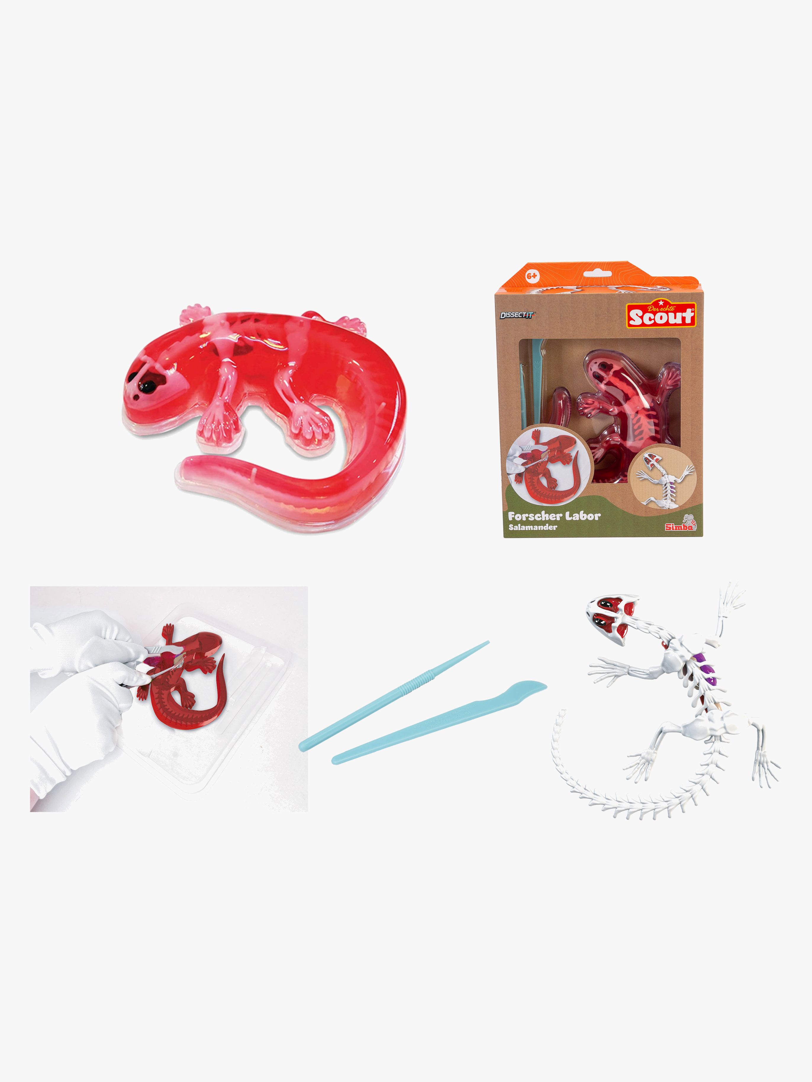 Scout Sezier-Set Salamander