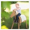 PlayHorse96-456038TE-3422_4a.jpg