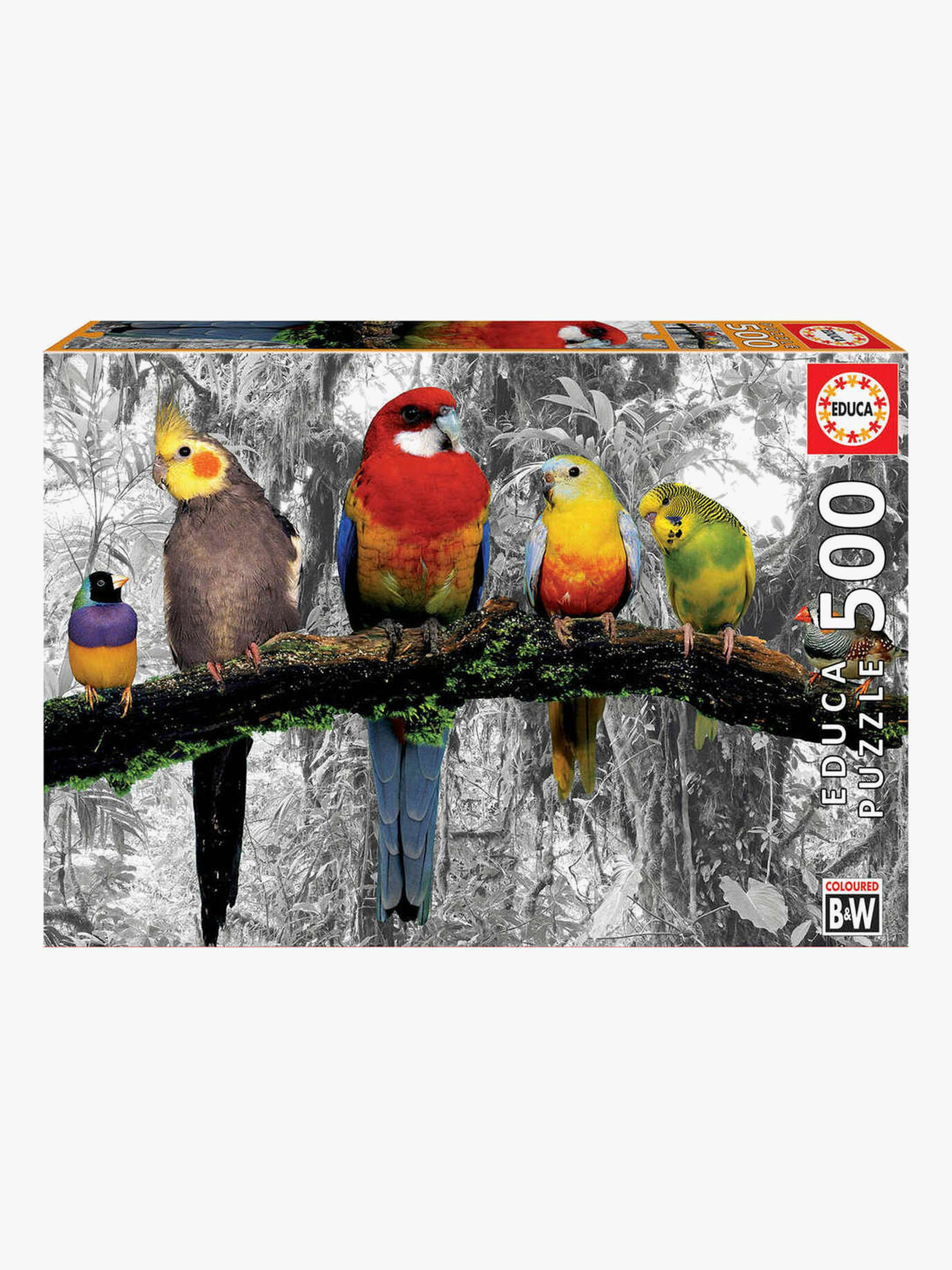 Educa Puzzle Birds On The Jungle 500 Teile