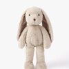 Rabbit45-4365-1115_1.jpg
