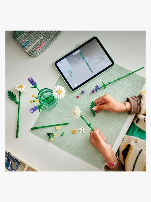 LEGO Botanicals 11508 Gänseblümchen