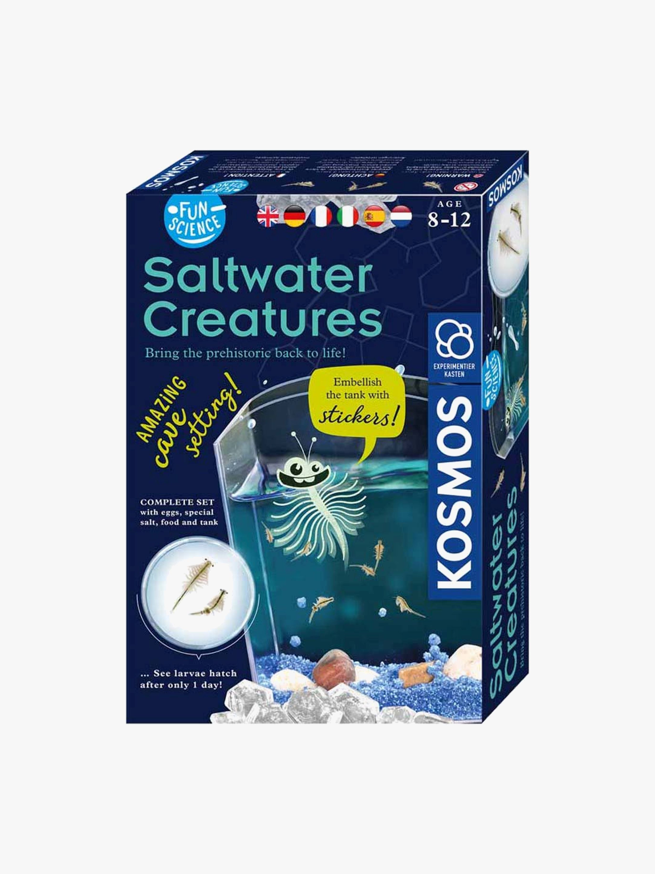 Fun Science Experimentierkasten Saltwater Creature