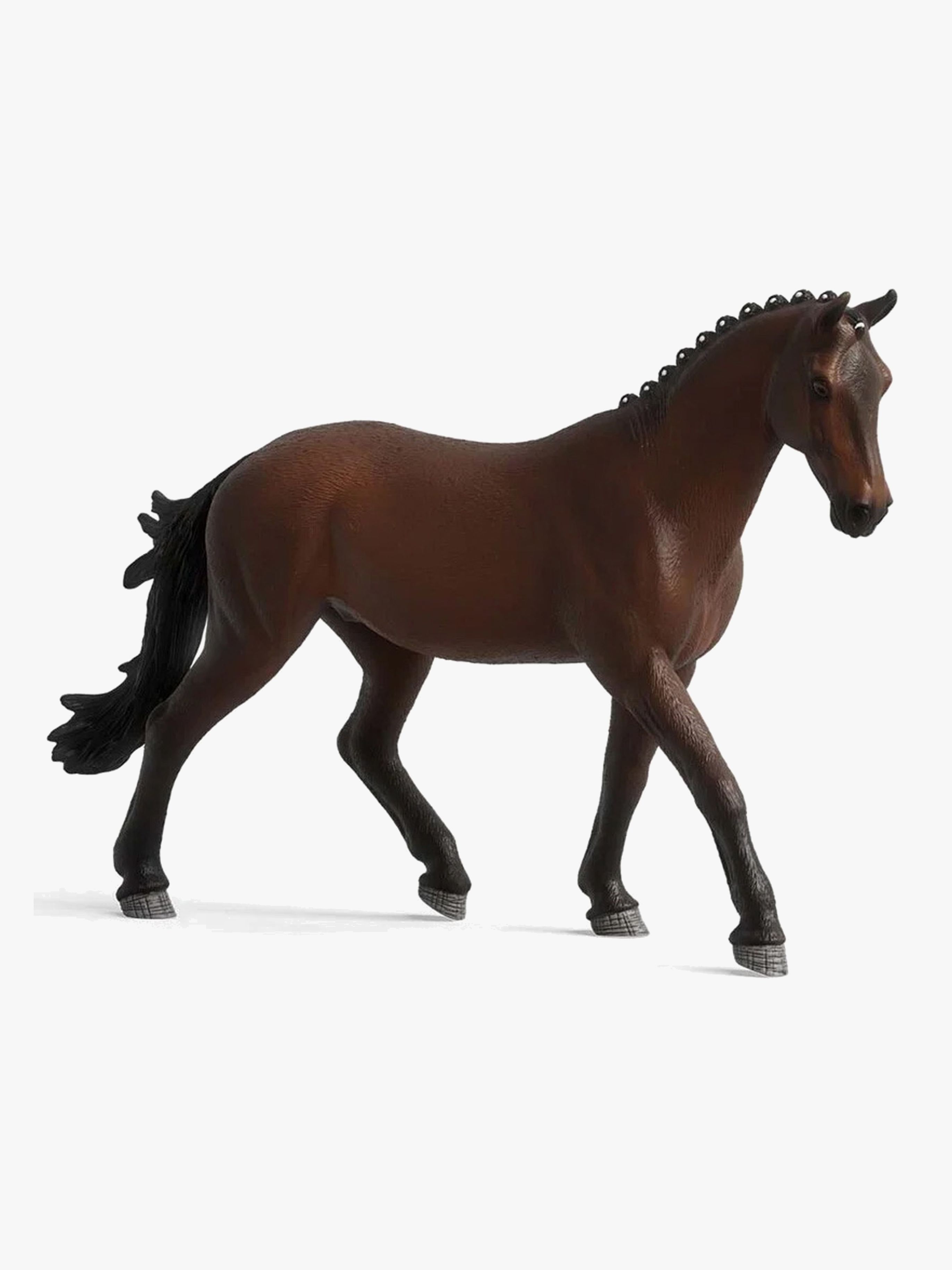 Black Lable Pferd Trakehner Mare