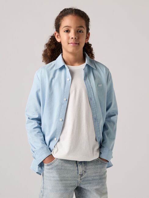 Levi's LVB Battery Housemark Hemd, Avalon