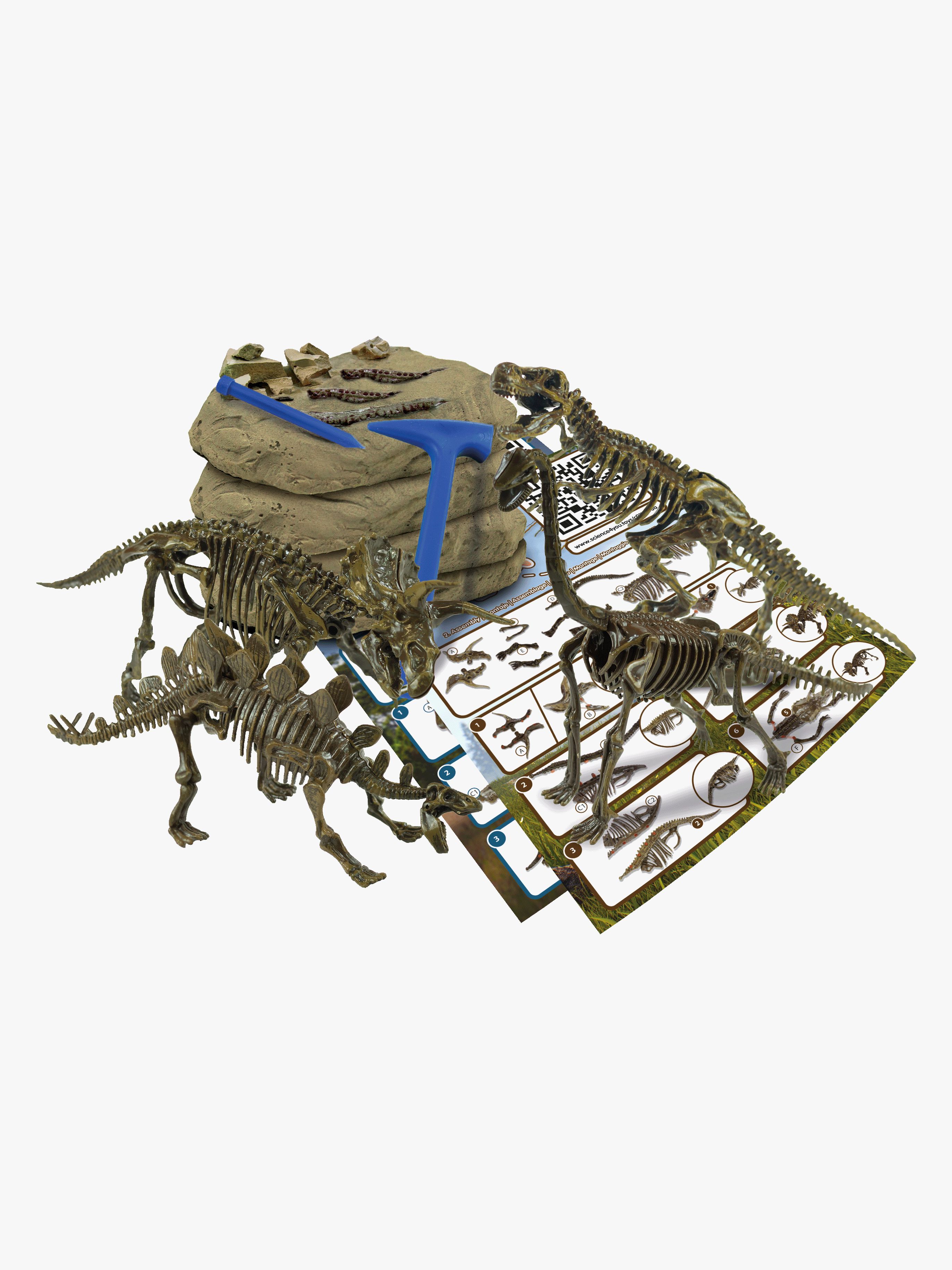 Toyrock Stem Fossilien Ausgrabungsset 4-in-1