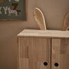 SHIDA-22003-Rabbit-2675_3b.jpg