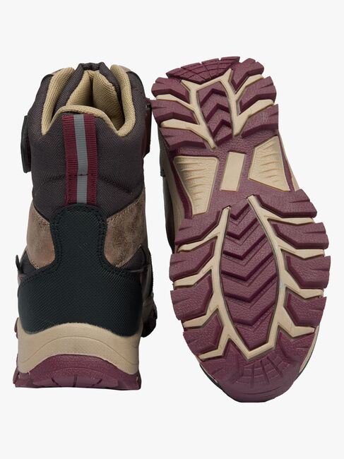 70007-Raisin-4548_3a.jpg