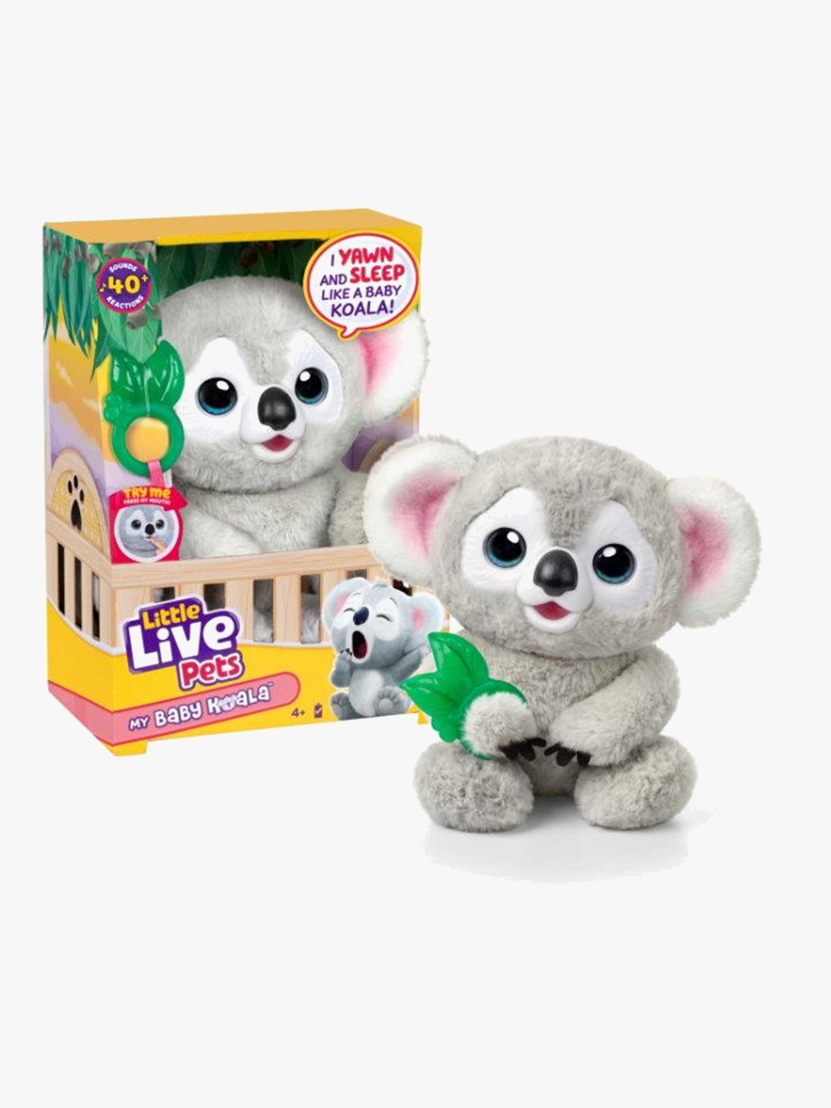 Little Live Pets Interaktives Kuscheltier Baby Koala