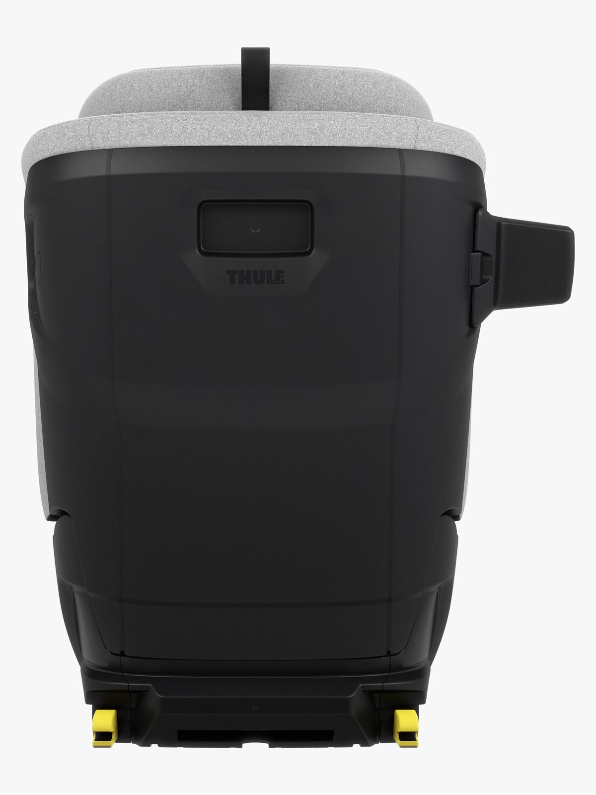 Palm-14000025-1879_3b.jpg