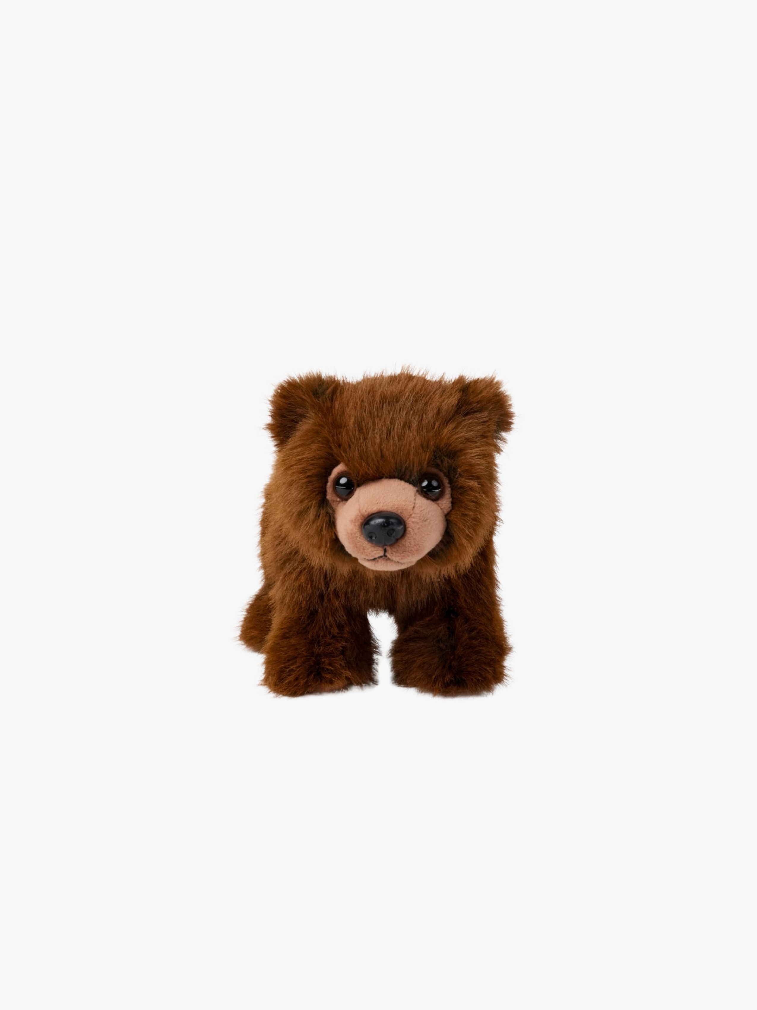 Kuscheltier Bär