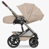 TalosDuo2026-526001735-3606_3g.jpg