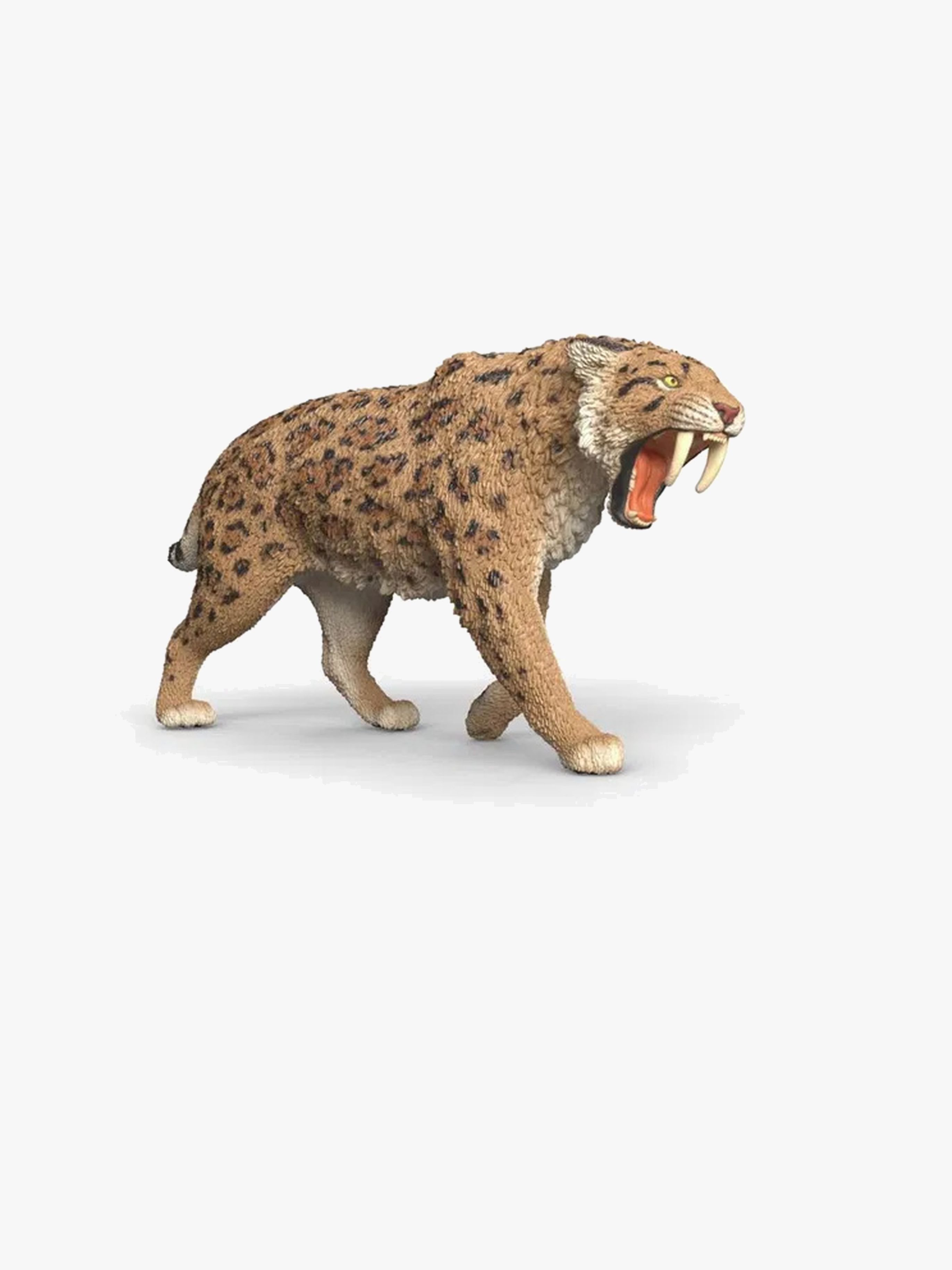 Säbelzahntiger Smilodon