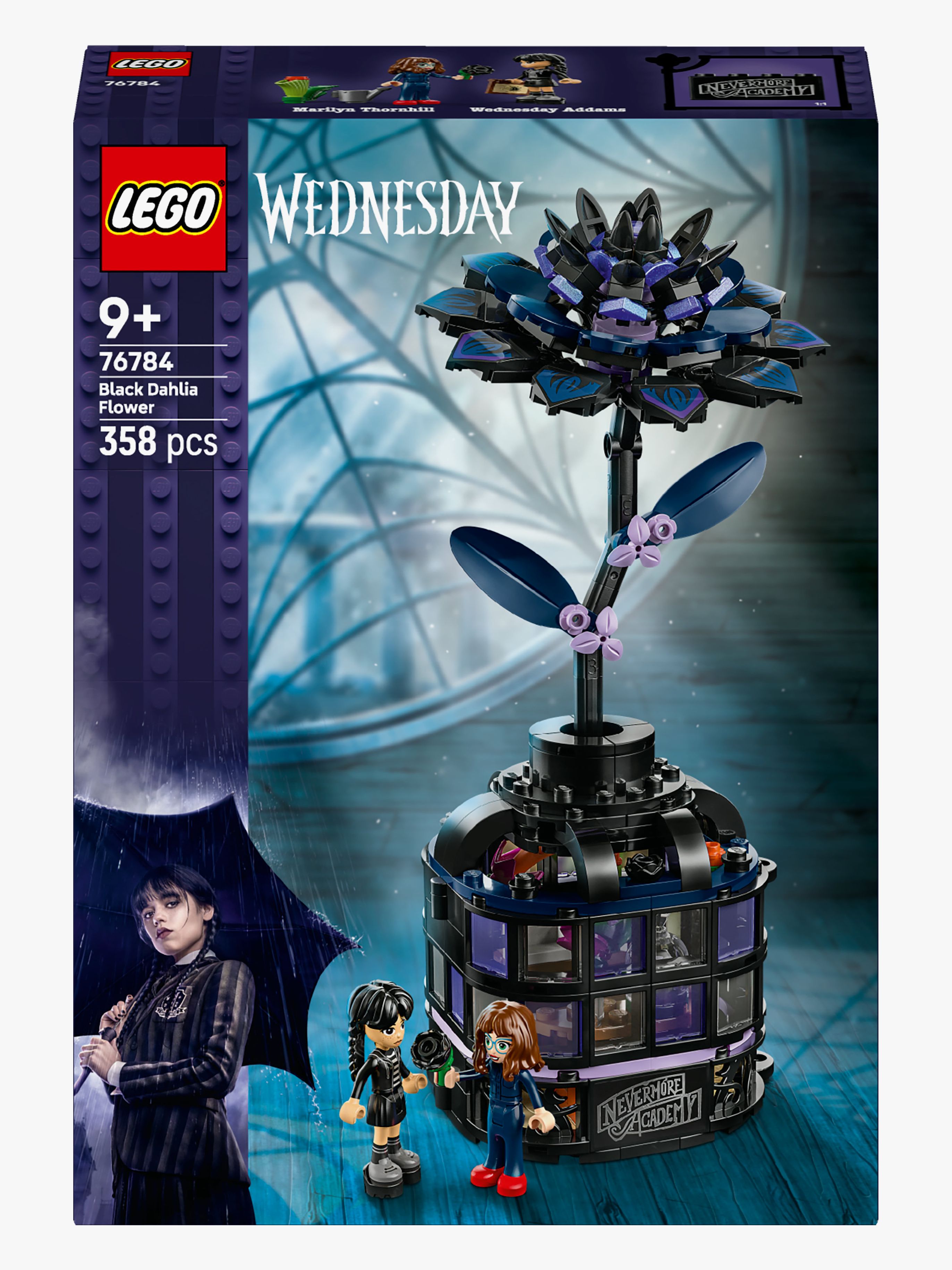 Wednesday 76784 Schwarze Dahlie