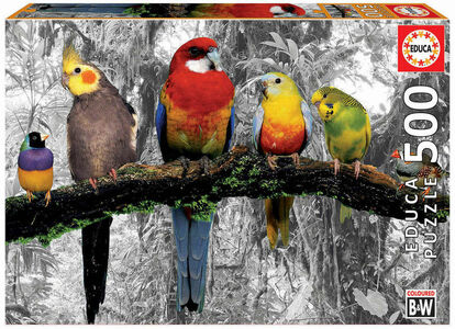 Educa Puzzle Birds On The Jungle 500 Teile
